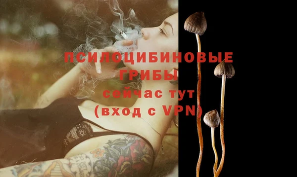 трава Приозерск