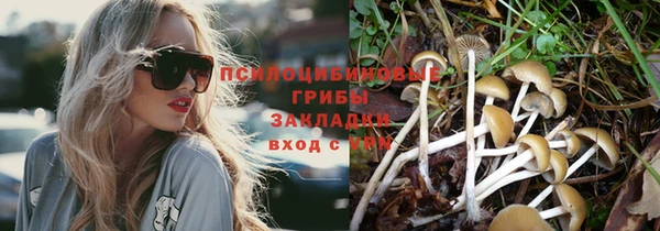 трава Приозерск