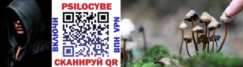 Псилоцибиновые грибы Psilocybe  дарнет шоп  Норильск 