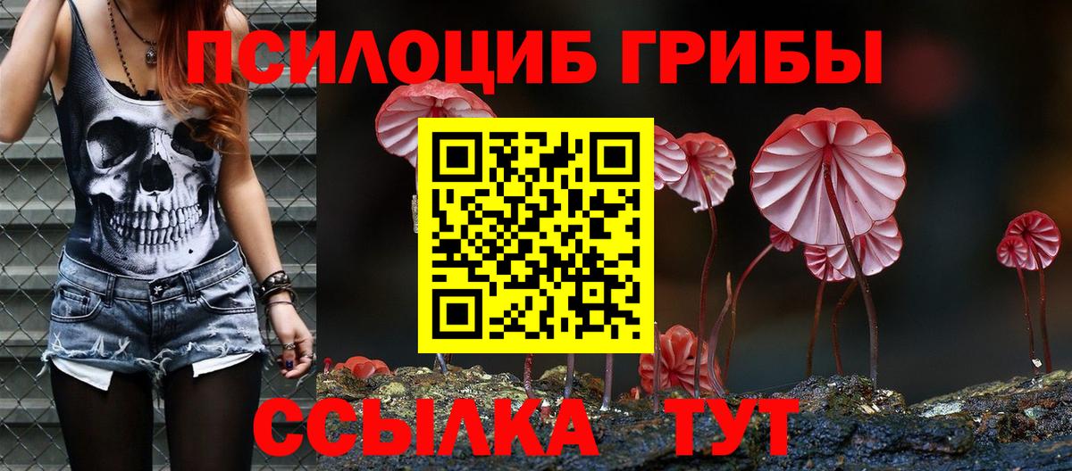 Псилоцибиновые грибы ЛСД Норильск