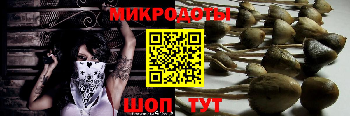 как найти   Галлюциногенные грибы мухоморы  Норильск  Вход с VPN  Галлюциногенные грибы Psilocybe 