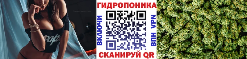 Марихуана планчик  Норильск 